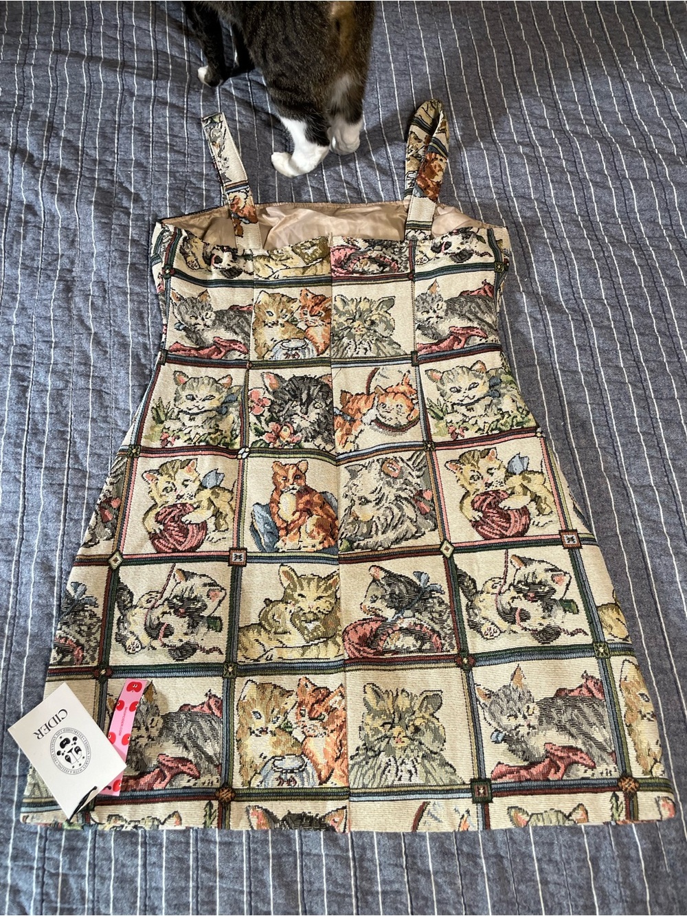 Cider Cream Sleeveless Mini Dress with Multicolor Cat Quilt Print NWT - Picture 4 of 10